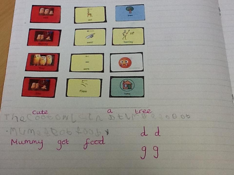 We have been writing sentences about The Owl Babies story.